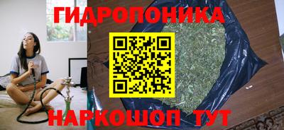 кокс Аша