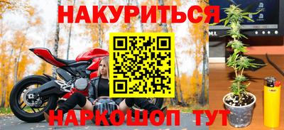 кокс Аша