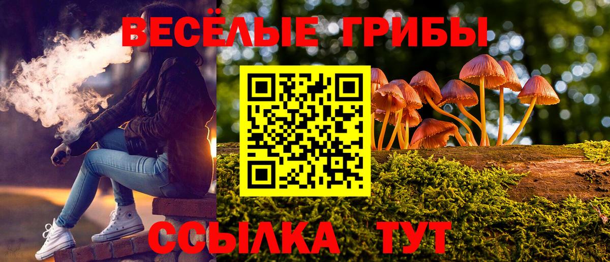 Псилоцибиновые грибы прущие грибы Белорецк